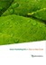 Green Marketing 101